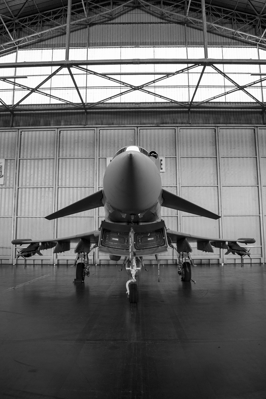 jet, aircraft, aviation, military, flight, plane, airplane, airforce, transportation, defense, technology, turbine, aerospace, monochrome, black and white, jet, airforce, airforce, airforce, airforce, airforce, aerospace